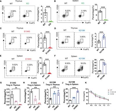CARD11 regulates the thymic Treg development in an NF-κB-independent manner